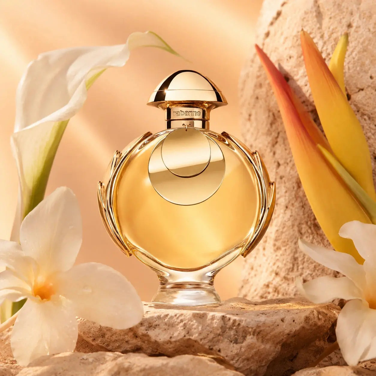 Rabanne Olympéa Elixir EDP Intense 80ml clean product image featuring the original bottle and packaging in bright elegant lighting.