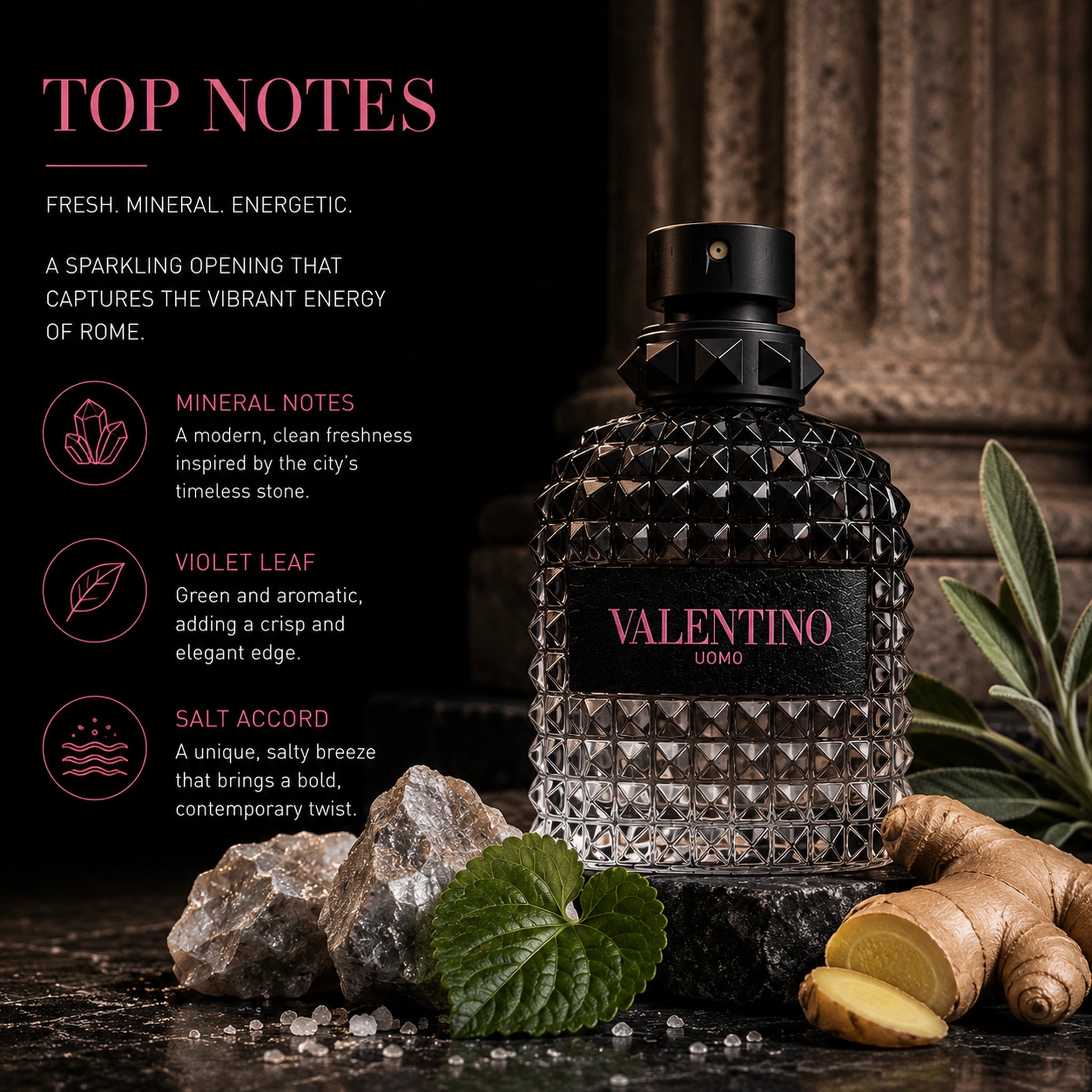 Valentino Uomo Born In Roma EDT Men top notes mineral violet leaf salt accord image at Gadgets Online NZ