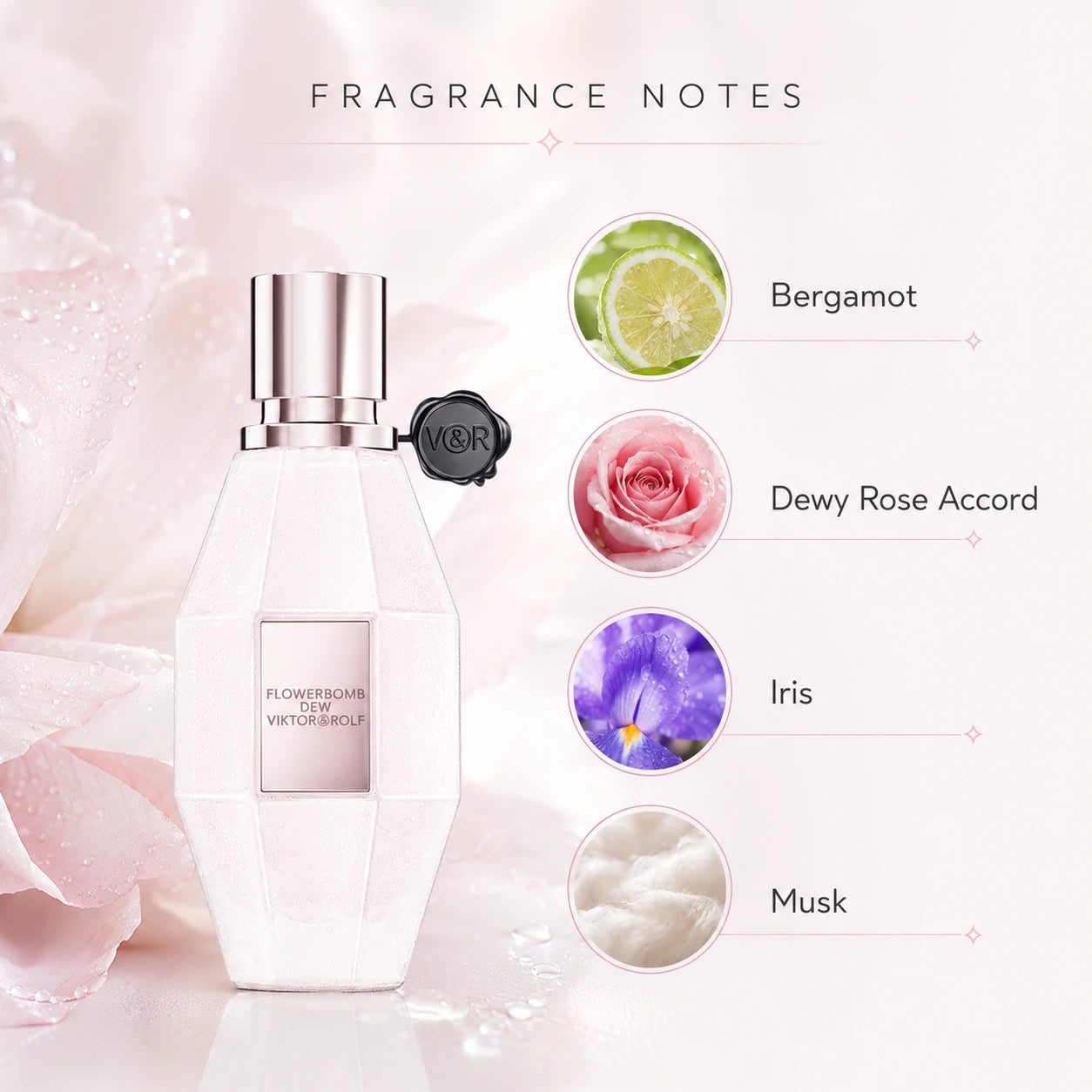 Viktor & Rolf Flowerbomb Dew EDP 50ml fragrance notes infographic showing the perfume profile in a clean floral layout