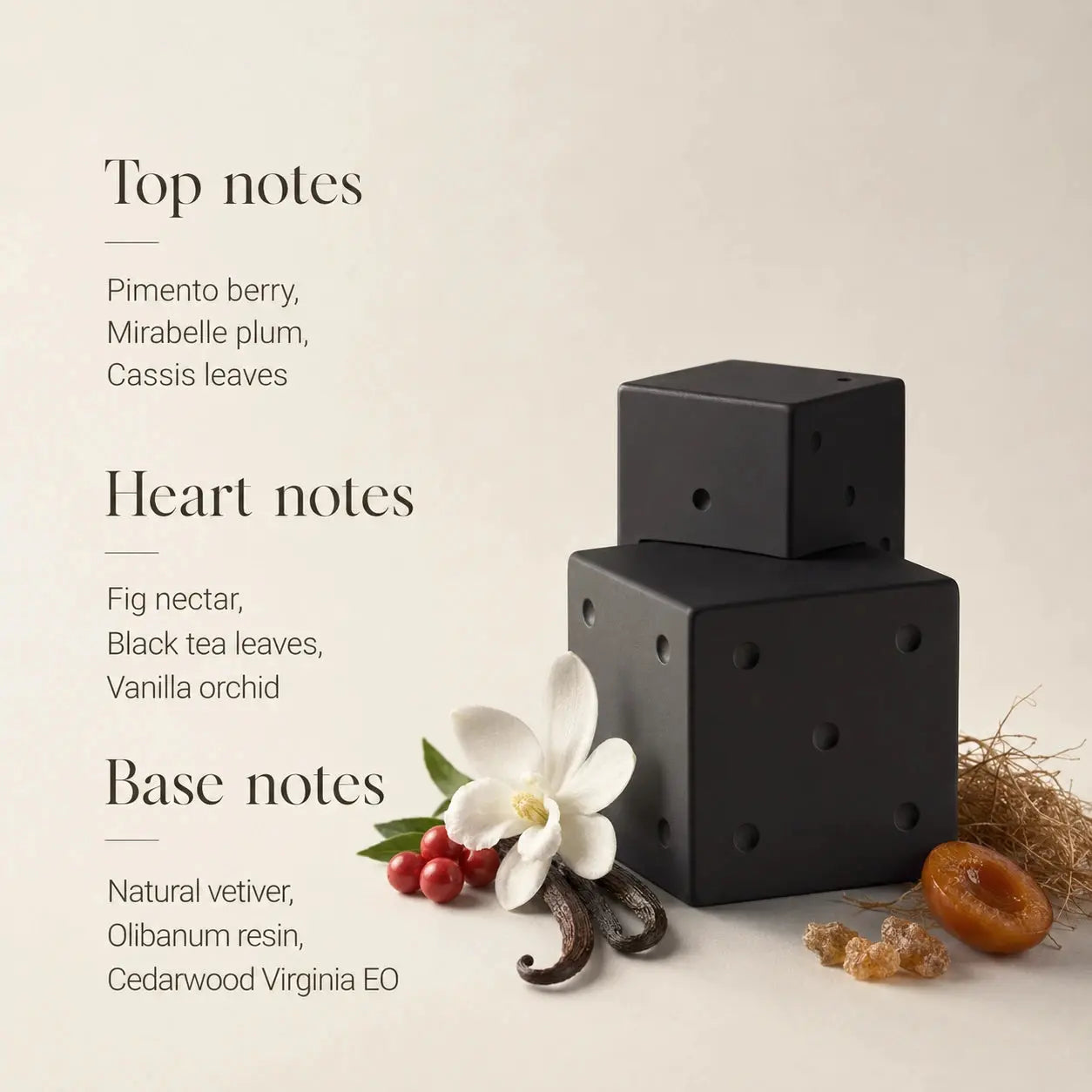 Billie Eilish Your Turn II fragrance notes infographic