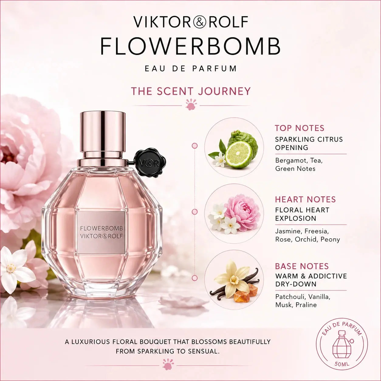 Viktor & Rolf Flowerbomb 50ml EDP scent journey image showing the sparkling citrus opening, floral heart and warm sensual dry-down.