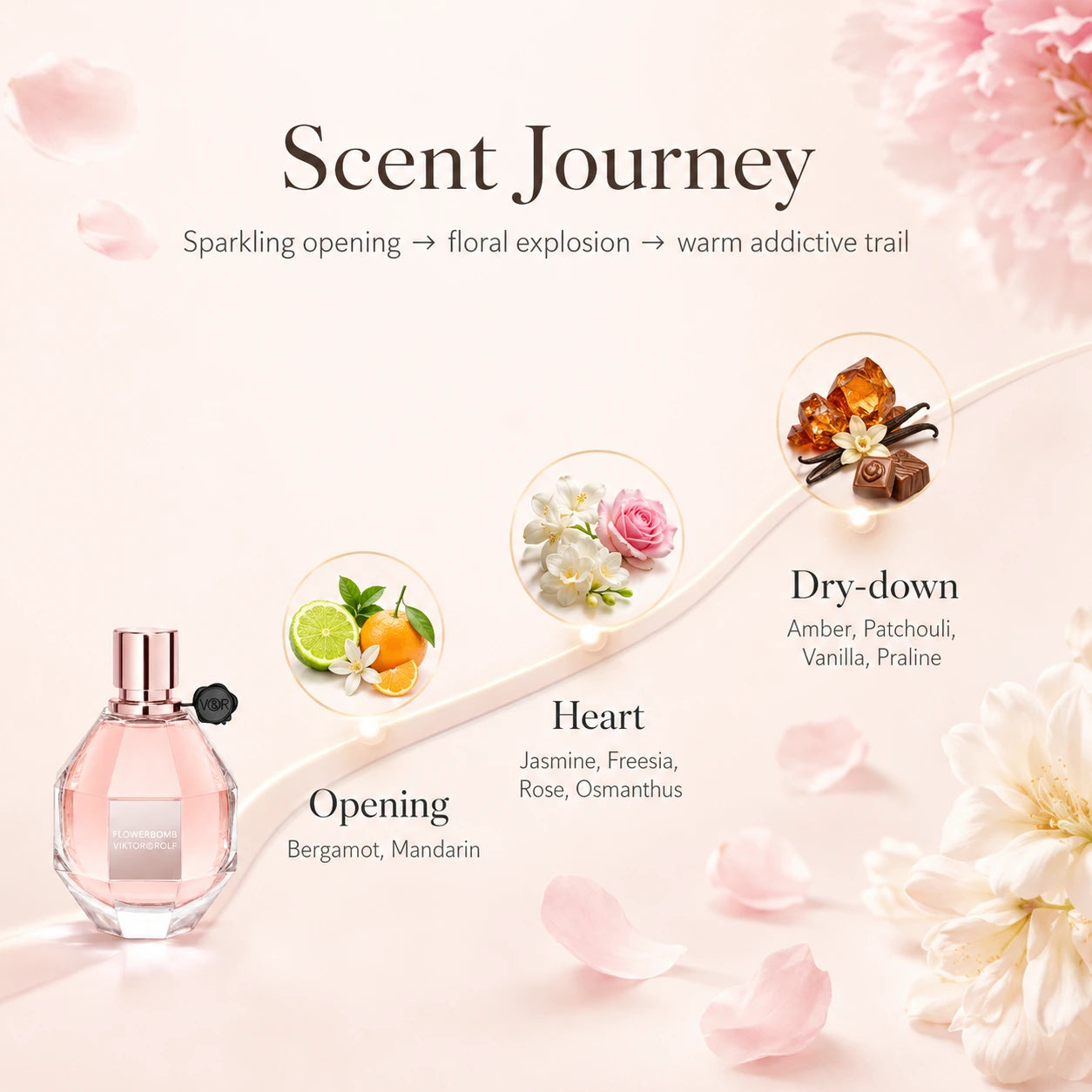 Viktor & Rolf Flowerbomb EDP 30ml scent journey image showing the sparkling citrus opening, floral heart and warm addictive dry-down.