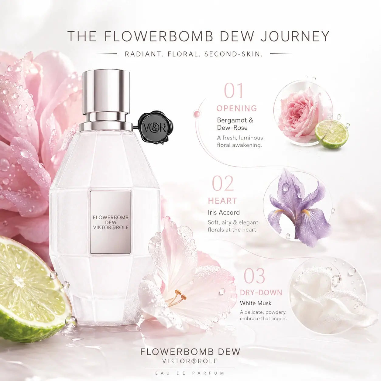 Viktor & Rolf Flowerbomb Dew EDP 50ml scent journey image showing the perfume from fresh opening to soft floral finish