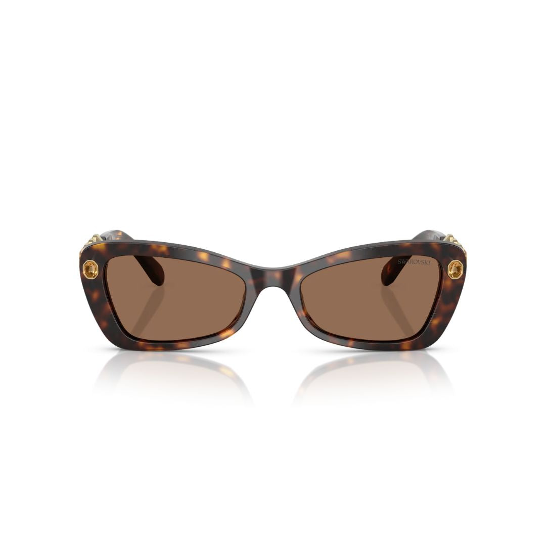 Front View: Swarovski SK6033 100273 Women’s Sunglasses – Havana Frame, Dark Brown Lenses, Strass Embellished Luxury Eyewear
