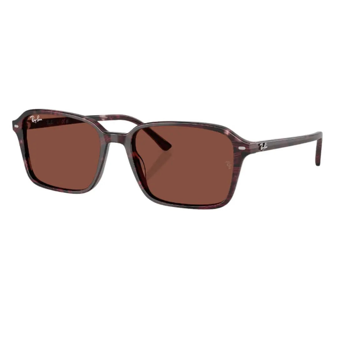 Ray-Ban Raimond RB2231 1416C5 - Transparent Fantasy Violet/Red Frame, Red Lens Front Left View