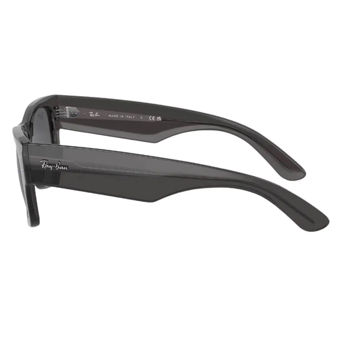 Ray-Ban Mega Wayfarer RB0840S 1406B1 - Transparent Black with Grey Lens Side View