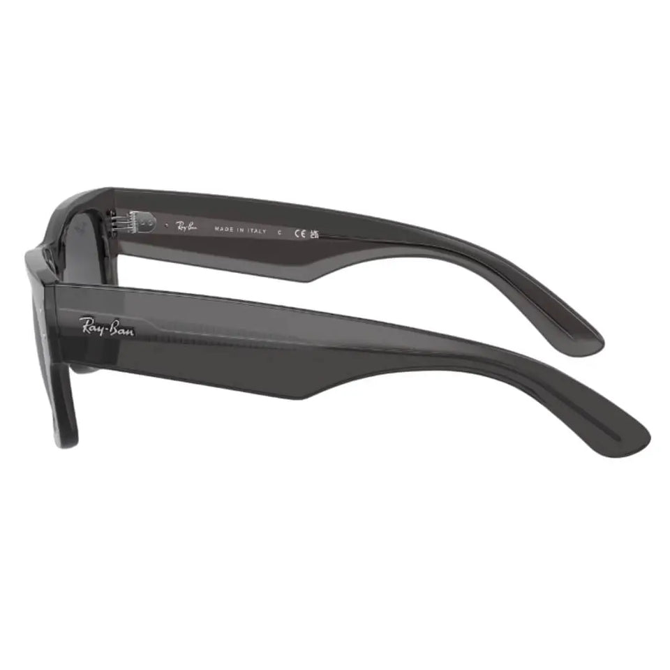 Ray-Ban Mega Wayfarer RB0840S 1406B1 - Transparent Black with Grey Lens Side View