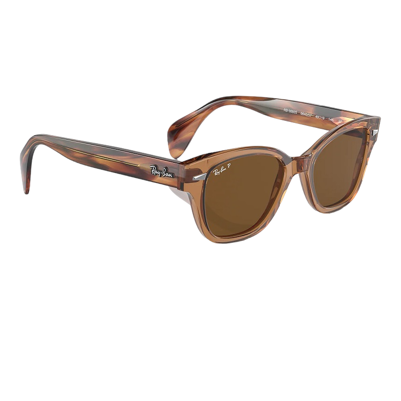 Ray-Ban RB0880S 664057 Crystal Brown Polarized Sunglass