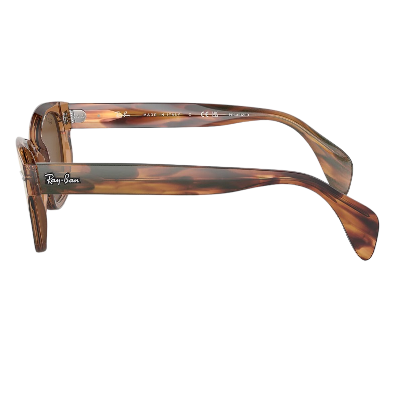 Ray-Ban RB0880S 664057 Crystal Brown Polarized Sunglass