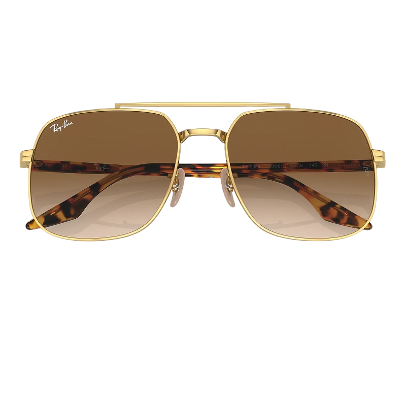 Ray-Ban RB3699 001/51 Brown Gradient Sunglass