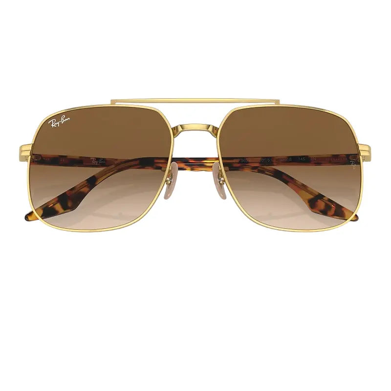 Ray-Ban RB3699 001/51 Brown Gradient Sunglass