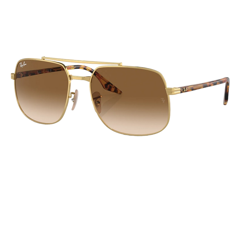 Ray-Ban RB3699 001/51 Brown Gradient Sunglass