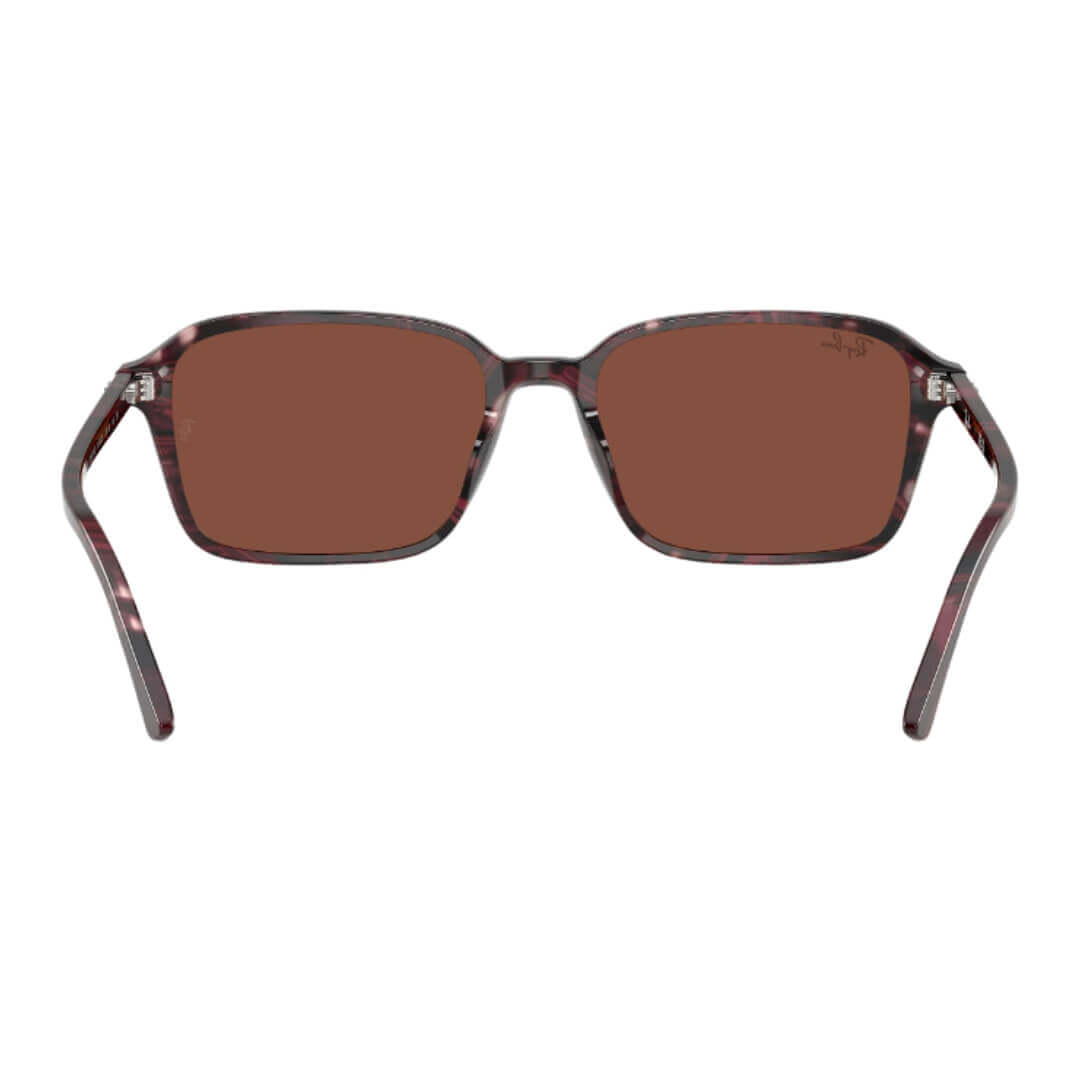 Ray-Ban Raimond RB2231 1416C5 - Transparent Fantasy Violet/Red Frame, Red Lens Back Side View