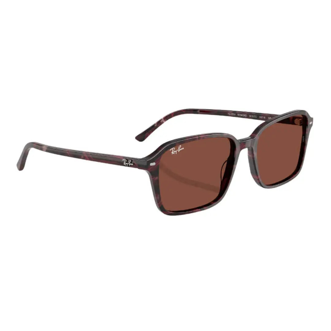Ray-Ban Raimond RB2231 1416C5 - Transparent Fantasy Violet/Red Frame, Red Lens Front Right View