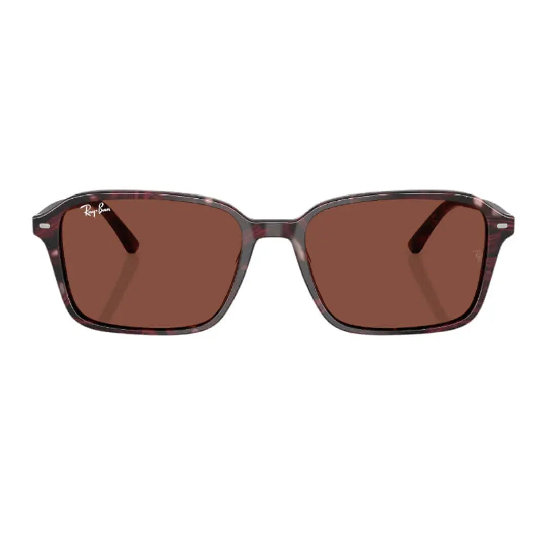 Ray-Ban Raimond RB2231 1416C5 - Transparent Fantasy Violet/Red Frame, Red Lens Front View