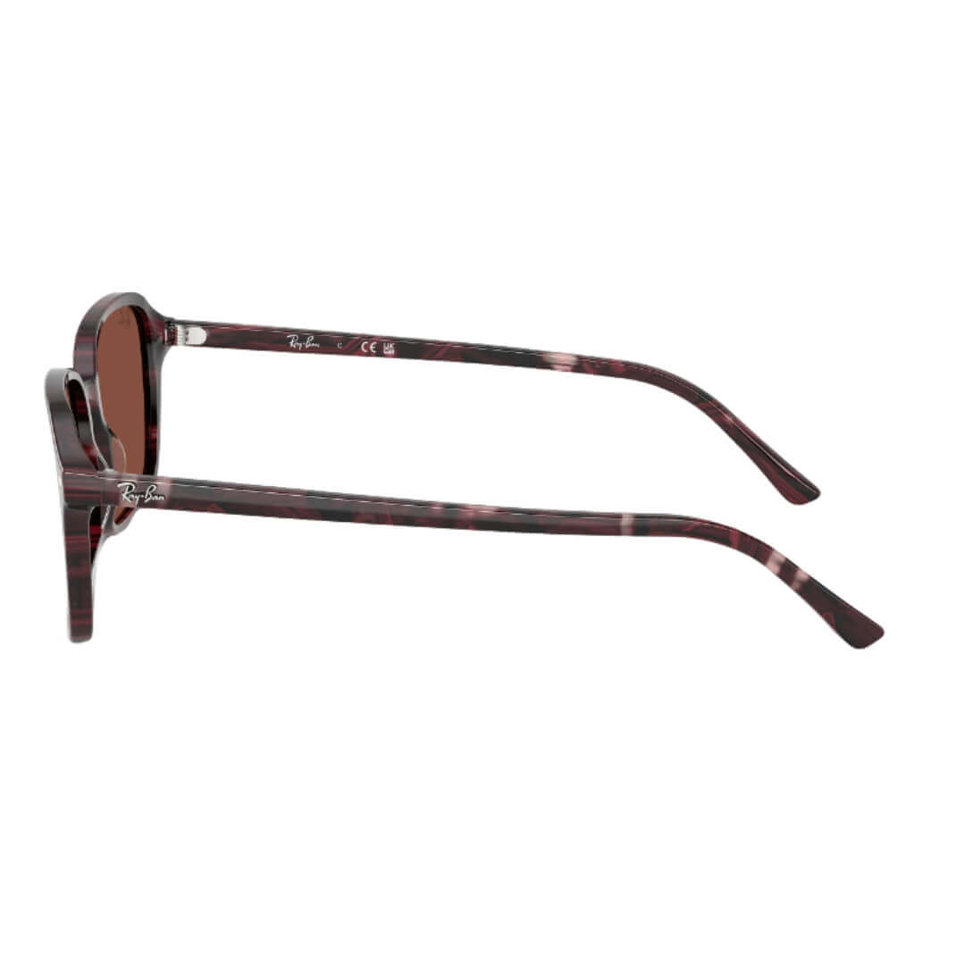 Ray-Ban Raimond RB2231 1416C5 - Transparent Fantasy Violet/Red Frame, Red Lens Side Frame View