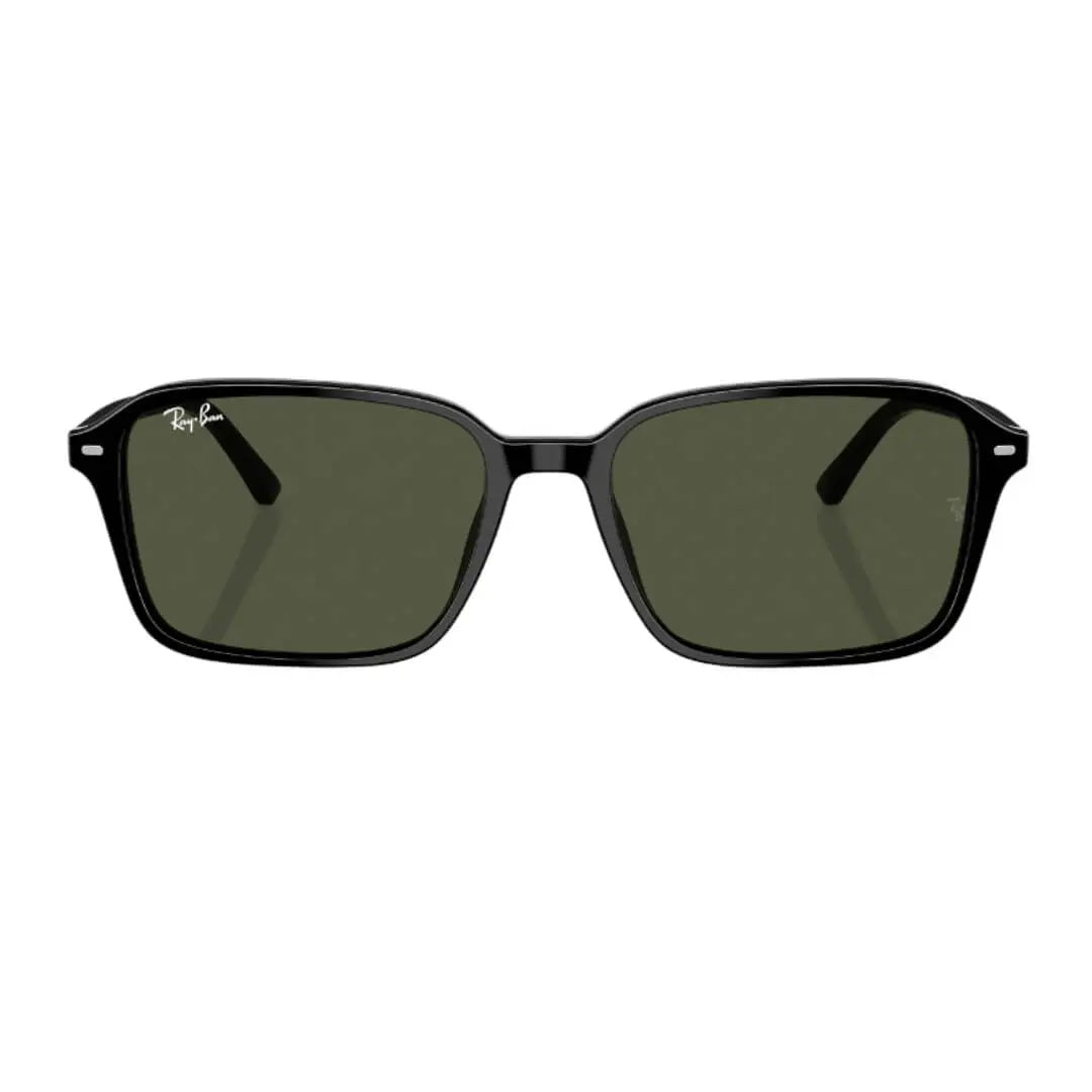 Ray-Ban Raimond RB2231 901/31 - Black Frame with Green Lens Close Up Front View