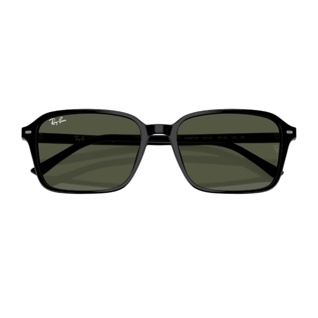 Ray-Ban Raimond RB2231 901/31 - Black Frame with Green Lens Folded View
