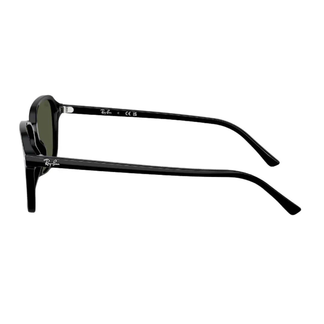 Ray-Ban Raimond RB2231 901/31 - Black Frame with Green Lens Side Frame View