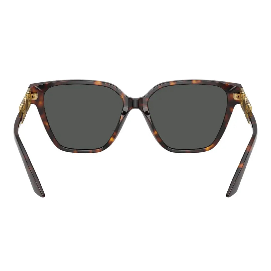 Versace VE4471B 108/87 Sunglasses - Havana Frame, Dark Grey Lens Back Side View