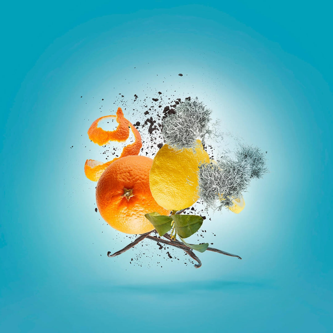 Xerjoff Erba Pura EDP – Citrus, Fruits & Vanilla Unisex Perfume – Available at Gadgets Online NZ Image with Notes