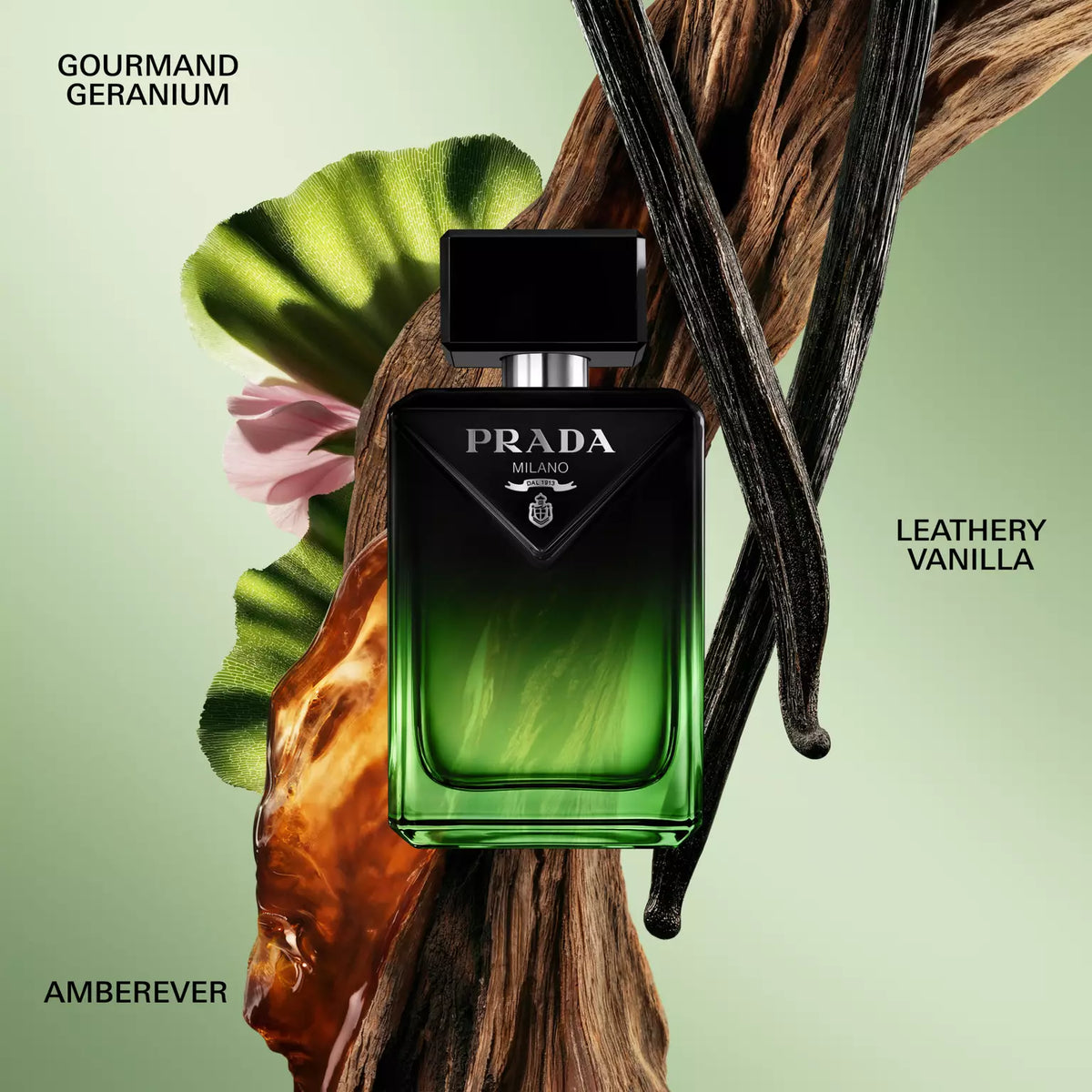 Prada Paradigme Le Parfum fragrance notes — gourmand geranium, leathery vanilla and Amberever