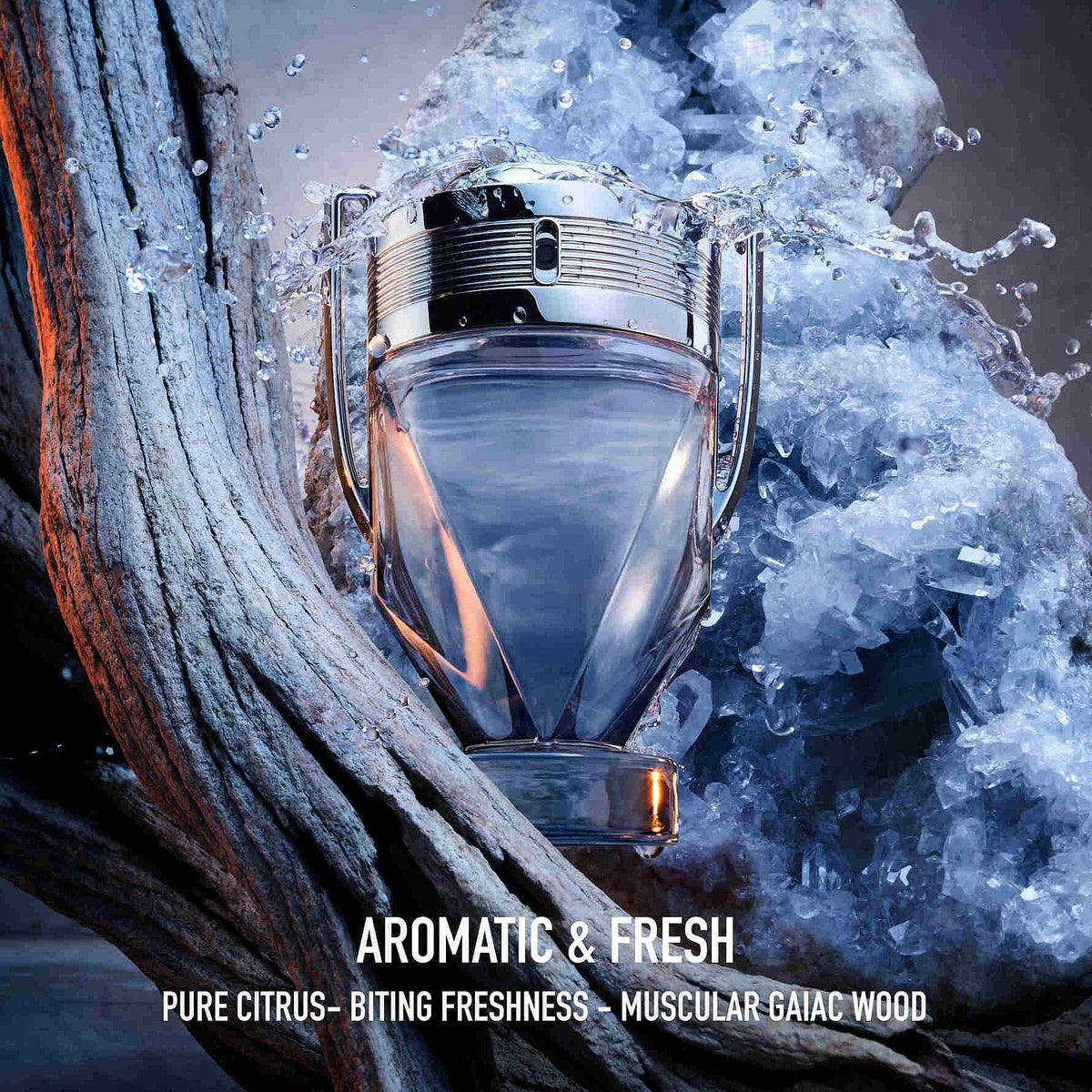 Rabanne Invictus fresh woody-aquatic mood image