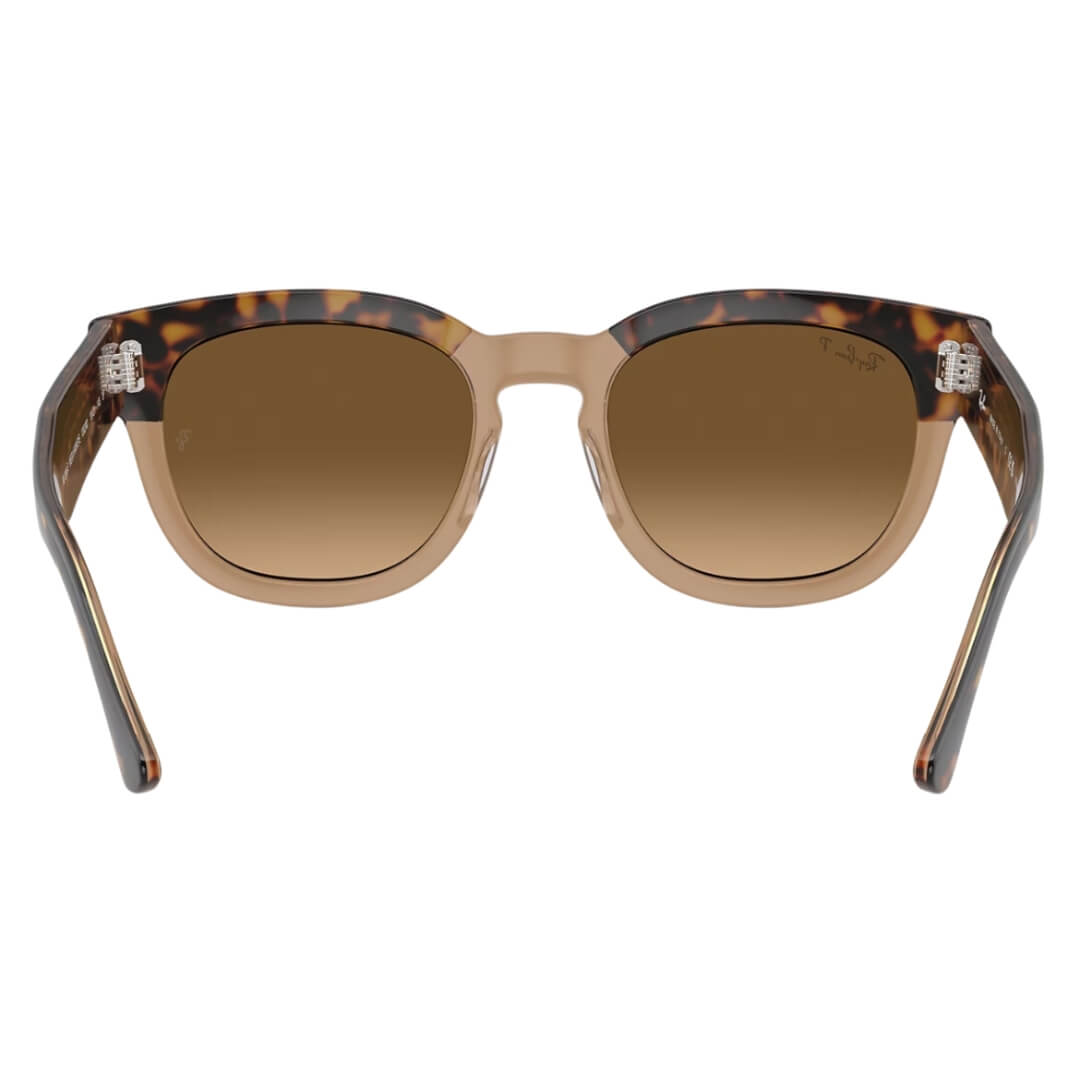 Ray-Ban Mega Hawkeye RB0298S 1292M2 Sunglasses - Havana on Transparent Brown, Brown Lens Back View