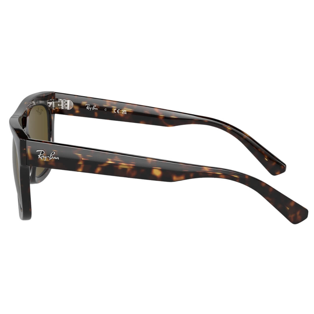 Ray-Ban Phil RB4426 135973 - Havana Frame with Dark Brown Lens Side View