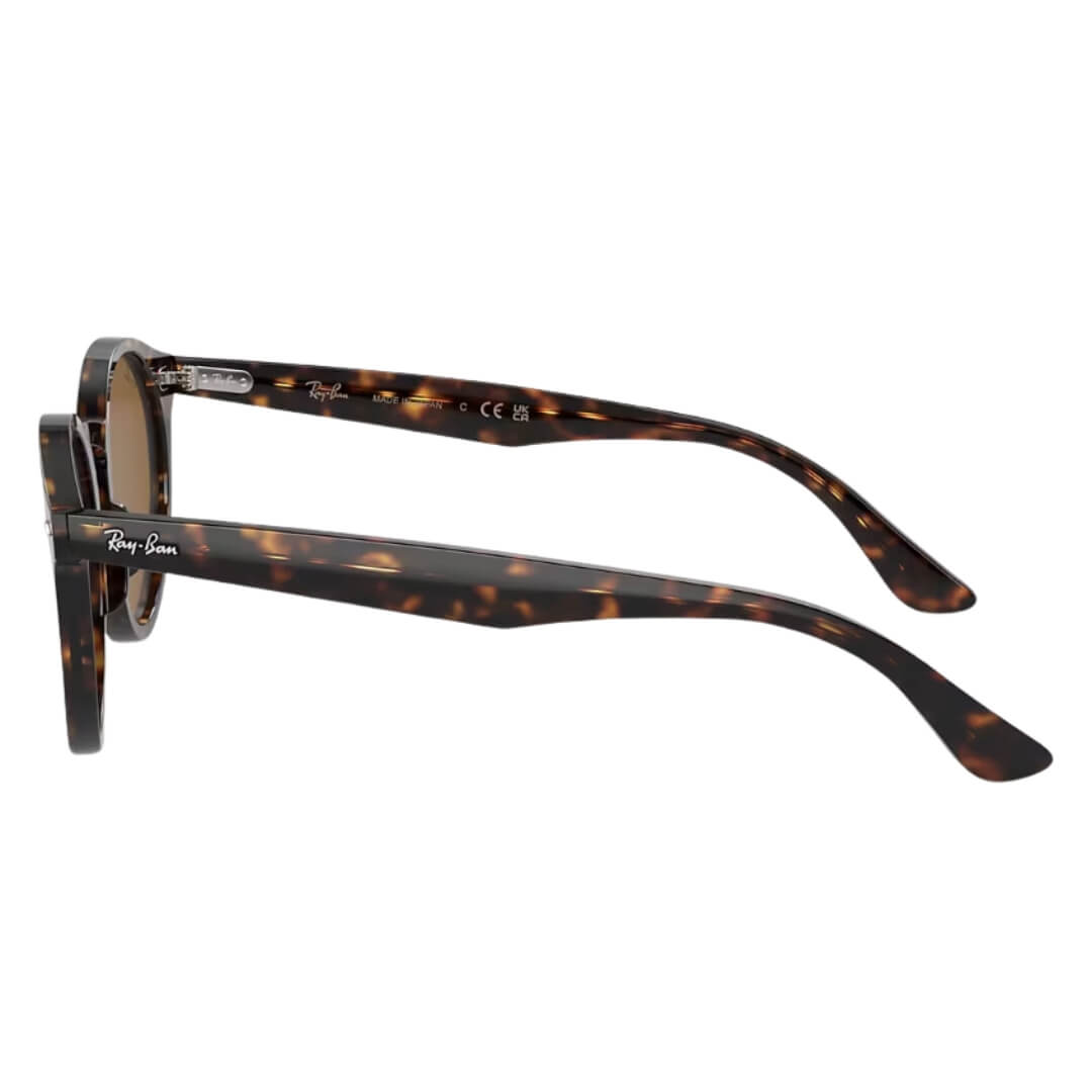Ray-Ban Larry RB7680S 902/33 - Havana Frame with Brown Lens Side View