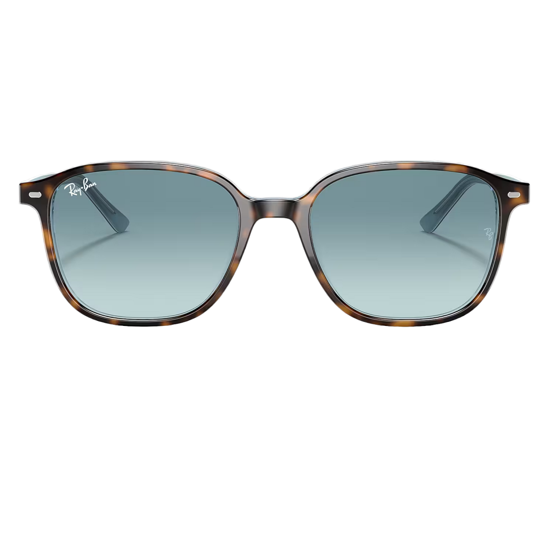 Ray-Ban Leonard RB2193 13163M  51-18 