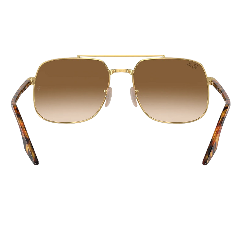 Ray-Ban RB3699 001/51 Brown Gradient Sunglass