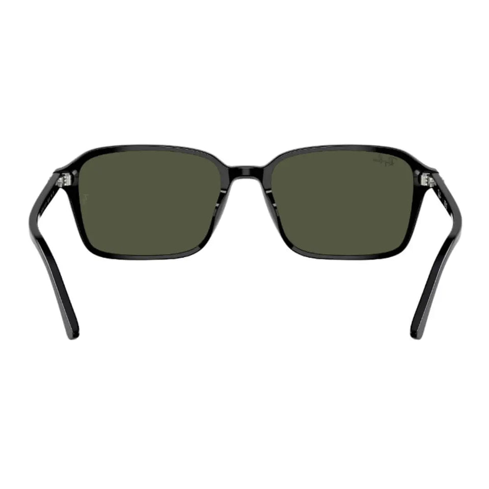 Ray-Ban Raimond RB2231 901/31 - Black Frame with Green Lens Back Side View
