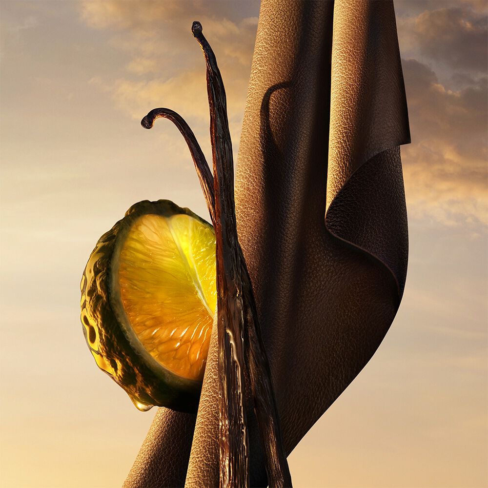 Giorgio Armani I WILL fragrance notes — bergamot, vanilla and woody leather