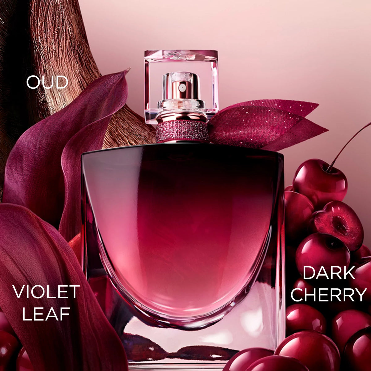Lancôme Very Cherry fragrance notes — dark cherry, violet leaf and oud