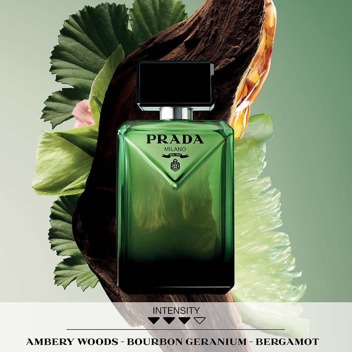 Prada Paradigme notes — bergamot, Bourbon geranium and amber woods