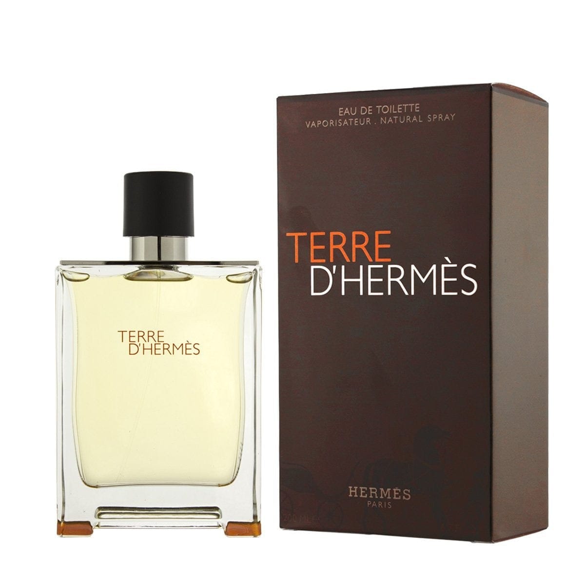 Hermes Terre D'Hermes edt 100ml For Men